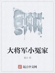 大将军小冤家