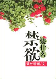 装什么禁欲